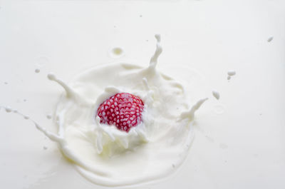 Close-up of strawberries on white background