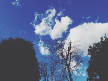 Low angle view of trees against blue sky