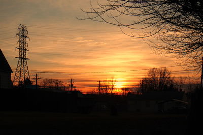 Silhouette of trees at sunset