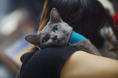 Rear view of woman with cat