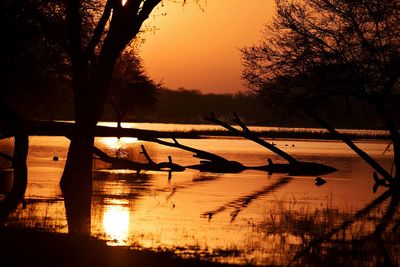 Scenic view of sea at sunset