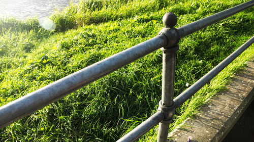 Close-up of metal railing against plants