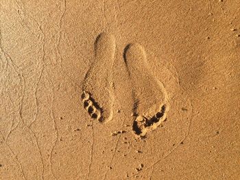 High angle view of footprints on sand