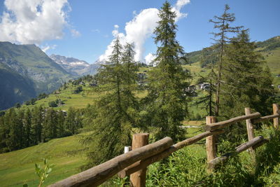 Scenic view of landscape against sky