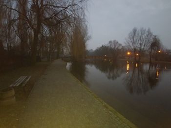 Reflection of bare trees in water