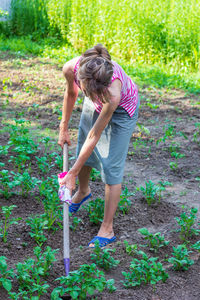 A young woman works in a vegetable garden, weeding potatoes on a summer day