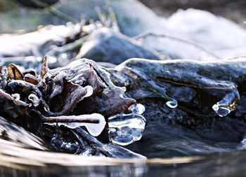 Close-up of water