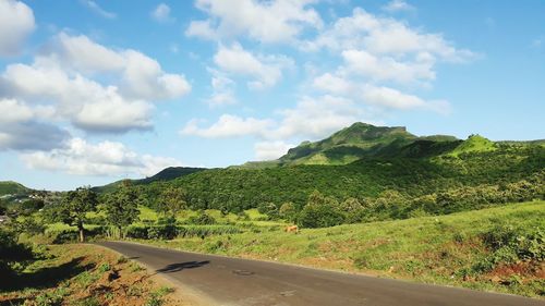 Road amidst green landscape against sky