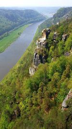 High angle view of trees on land