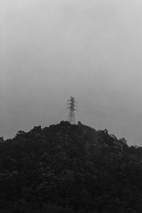 Low angle view of tree against sky