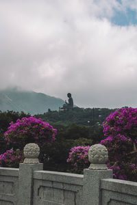 Statue of flowering plants against cloudy sky