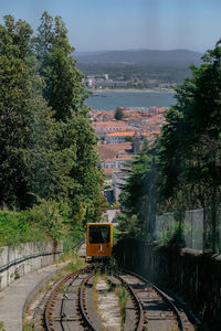 High angle view of train amidst trees