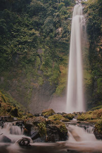 Scenic view of waterfall in forest