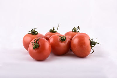 Close-up of tomatoes against white background