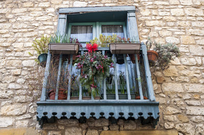 Potted plants on window sill of building