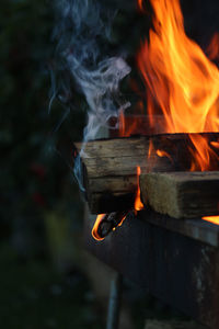 Close-up of fire on log