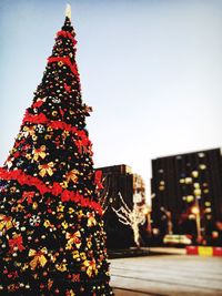 Low angle view of christmas tree