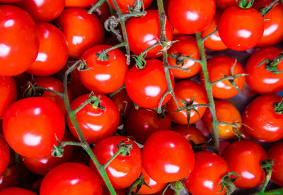 Full frame shot of tomatoes for sale