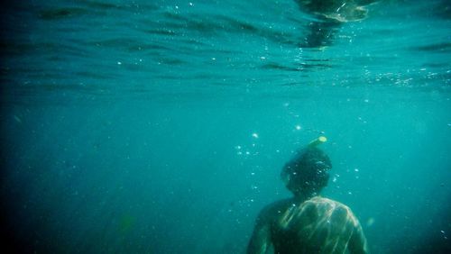 Rear view of man snorkeling underwater