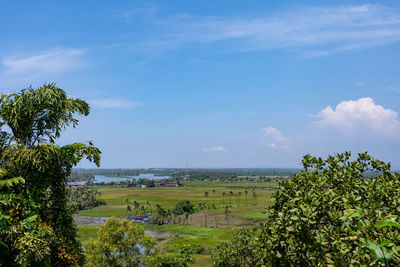 Scenic view of trees on field against sky