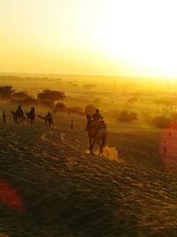 Man riding horses in desert