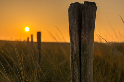 Close-up of grass against sunset sky