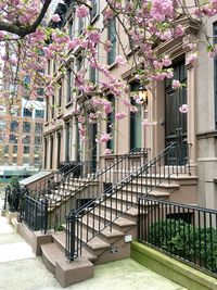 Street amidst buildings and trees in city