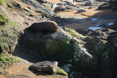 Rock formation in water