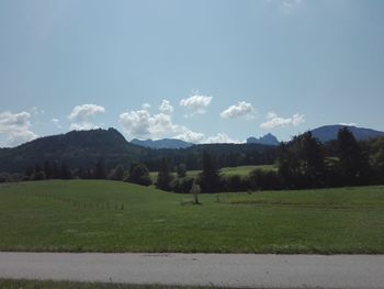 Scenic view of field against sky