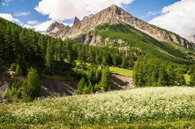 Maljasset in alpes-de-haute-provence in france
