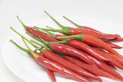 Close-up of red chili peppers in plate