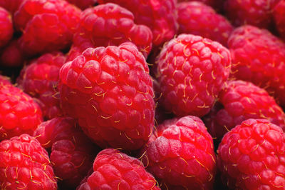 Ripe raspberries macro. fruit background with copy space. summer and berries harvest concept. vegan