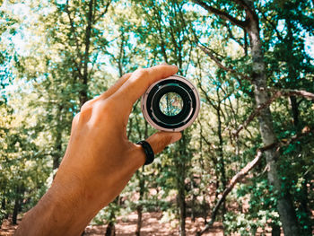 Low angle view of hand holding lens against tree in forest