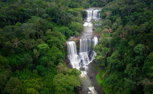 Scenic view of waterfall in forest