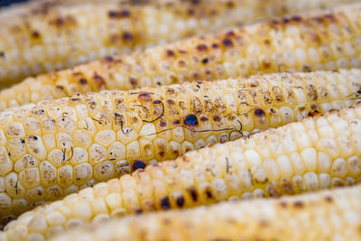 Close-up of sweet corn grilled