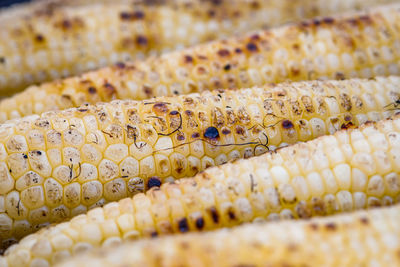 Close-up of bread for sale