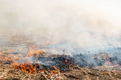 Aerial view of fire on land