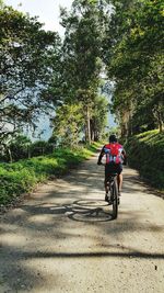 Rear view of man riding bicycle on road