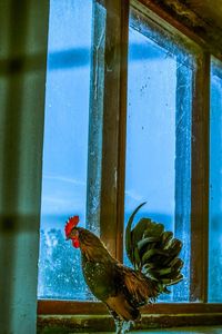 Full frame shot of window