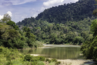 Scenic view of lake in forest against sky