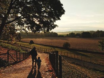 Rear view of man walking on field during sunset