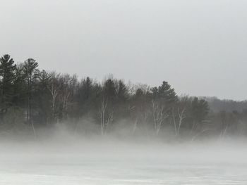 Trees on snow covered land against sky
