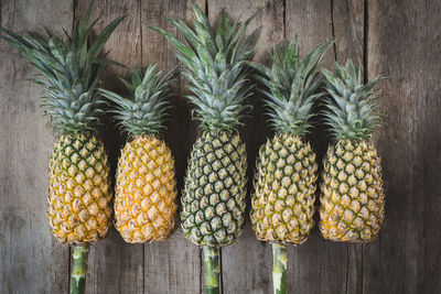 Fresh pineapples on the dark background