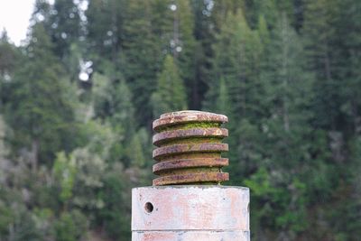 Close-up of rusty metal fence on field