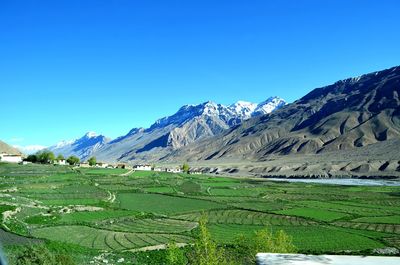 Scenic view of field and mountains against clear blue sky