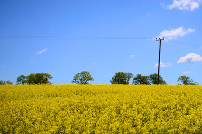 Scenic view of field against cloudy sky