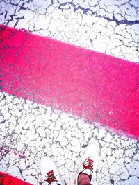 Low section of man standing on pink petals