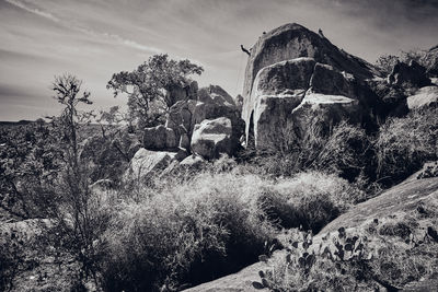 View of rock formations against sky