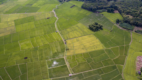 Aerial view of agricultural field