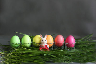 Colorful easter eggs and a rabbit in a dress in green grass on a gray background